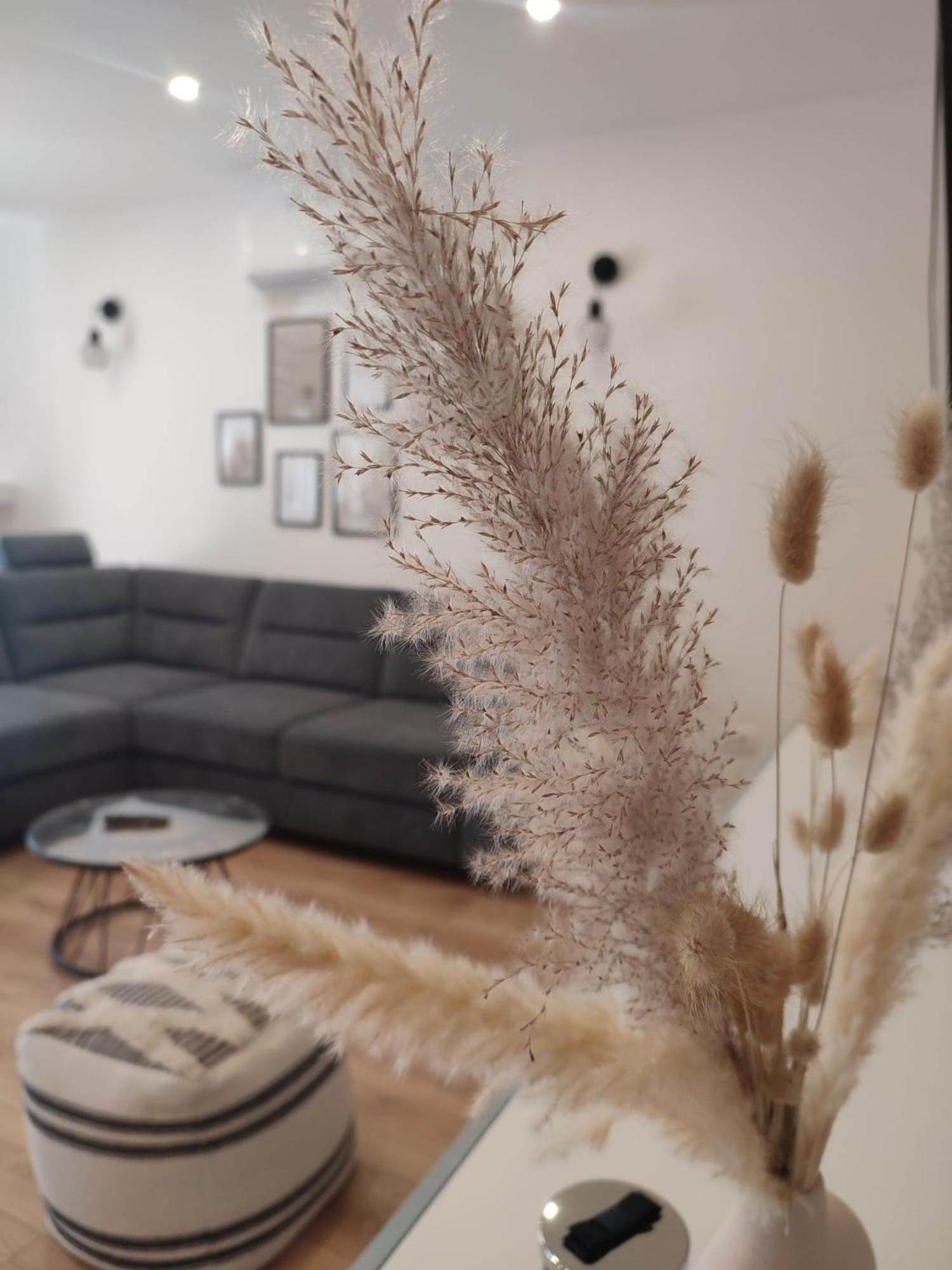 Sunset Apartment In Pakoštane 部屋 写真